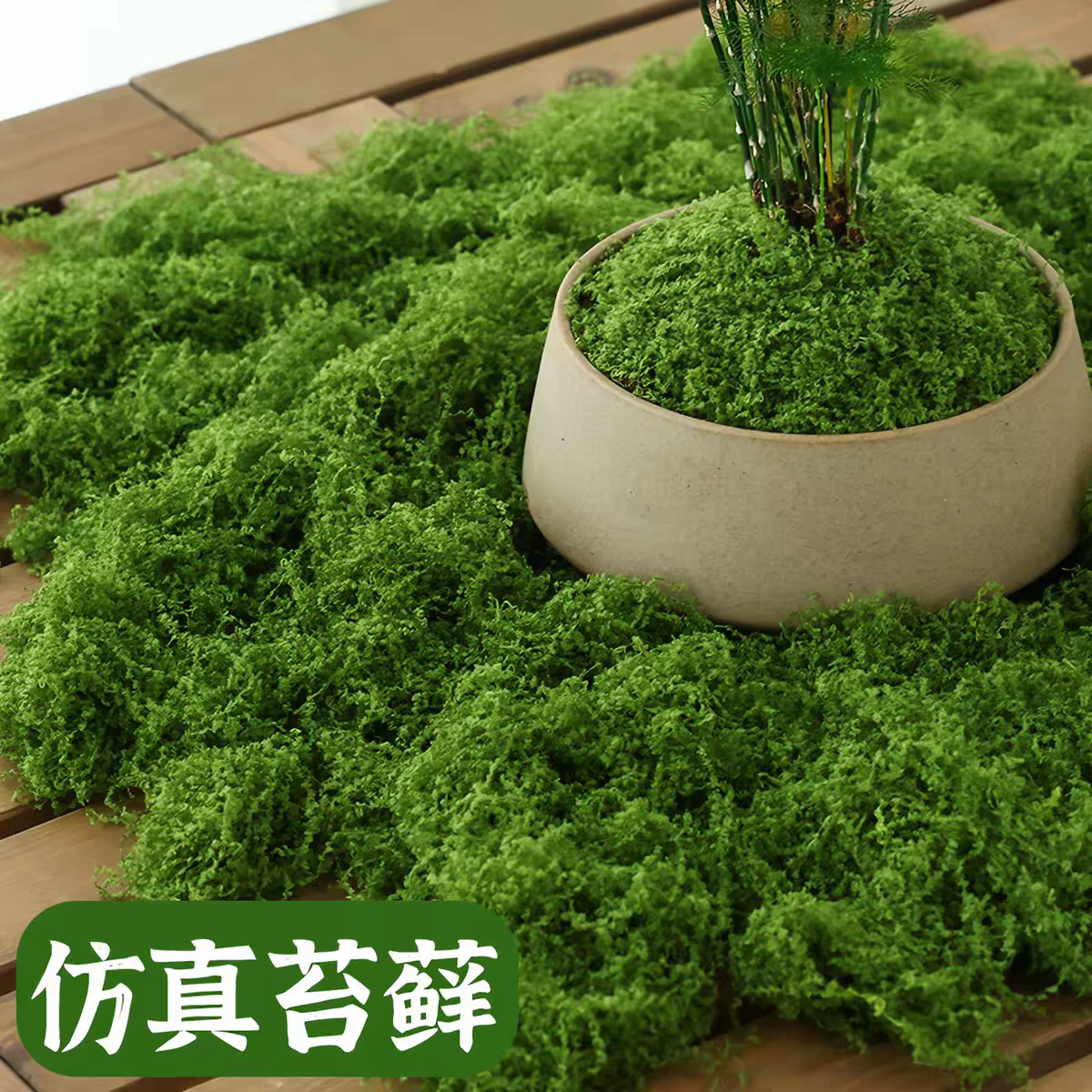 真苔藓造景假青苔毛线草皮绿植微景观植物装饰人造生草坪石头