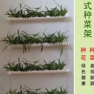 新品 饰花架阳台种菜 挂式 种菜架吊兰架无土栽培家庭菜园幼儿O园装