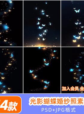 光影蝴蝶婚纱照影楼后期修图ps笔刷蓝色发光蝴蝶星光psd合成素材