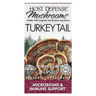 Host 主体防御 Defense Mushrooms Tail Fungi Turkey Perfecti