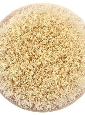 EcoTools干刷 洗澡刷搓澡巾搓背后背搓泥背后粗糙去角质