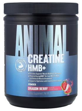Animal,Creatine HMB+™ Powder, Dragon Berry, 11.53 oz (327 g)