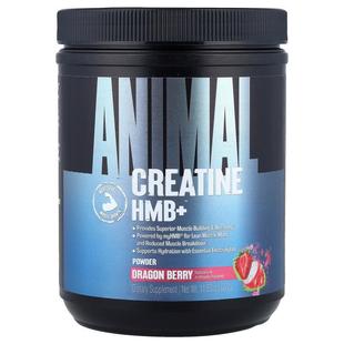 Animal,Creatine HMB+™ Powder, Dragon Berry, 11.53 oz (327 g)