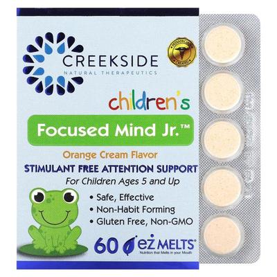 Creekside Naturals,Children's Focused Mind Jr，橙子奶油味，6