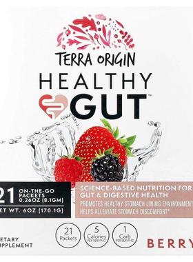 Terra Origin,Healthy Gut™, Berry , 21 On The Go Packets, 0.2