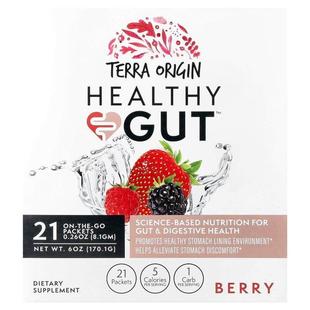 Terra Origin,Healthy Gut™, Berry , 21 On The Go Packets, 0.2