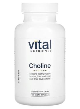 Vital Nutrients,Choline, 120 Vegan Capsules