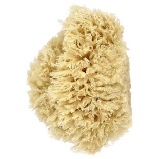 Premium Sea Wool Baby Sponge Natural Bath Buddy