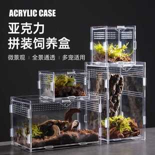 子盒子桌面亚克力昆虫观察爬宠饲养箱观赏蜗牛饲养盒蛇蝎守宫蜥蜴