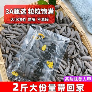 茶盐味美人甲南瓜子独立包装长粒大饱满休闲零食炒货