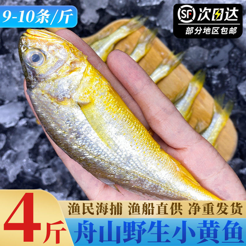 小黄鱼新鲜冷冻整箱商用真正舟山海捕黄鱼鲜活小黄花鱼4斤装烧烤