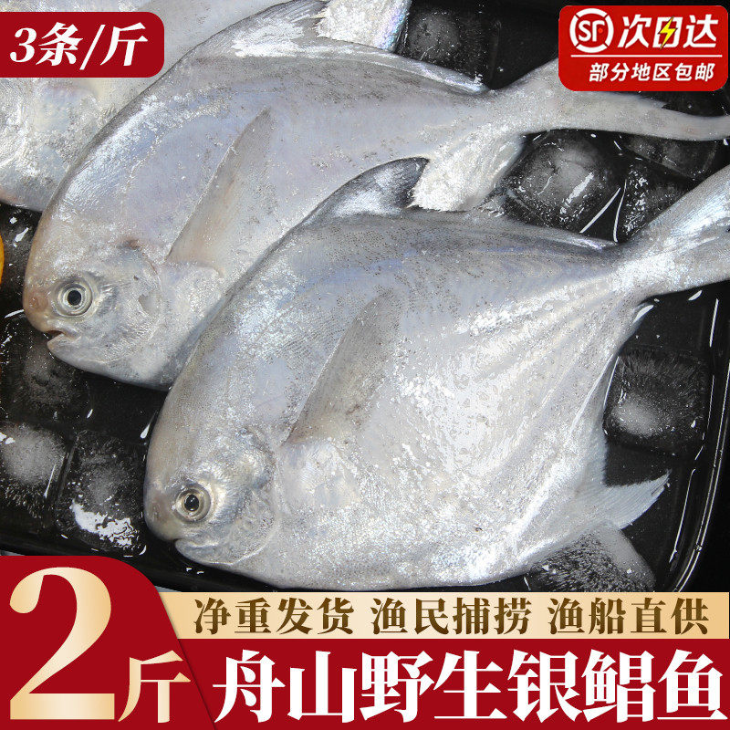 特大银鲳鱼新鲜冷冻舟山海捕野生白鲳鱼鲜活海鲜水产鲳鳊鱼昌鱼,水产肉类/新鲜蔬果/熟食,鲳鱼,淘宝优惠券,粉丝福利购,淘宝优惠卷