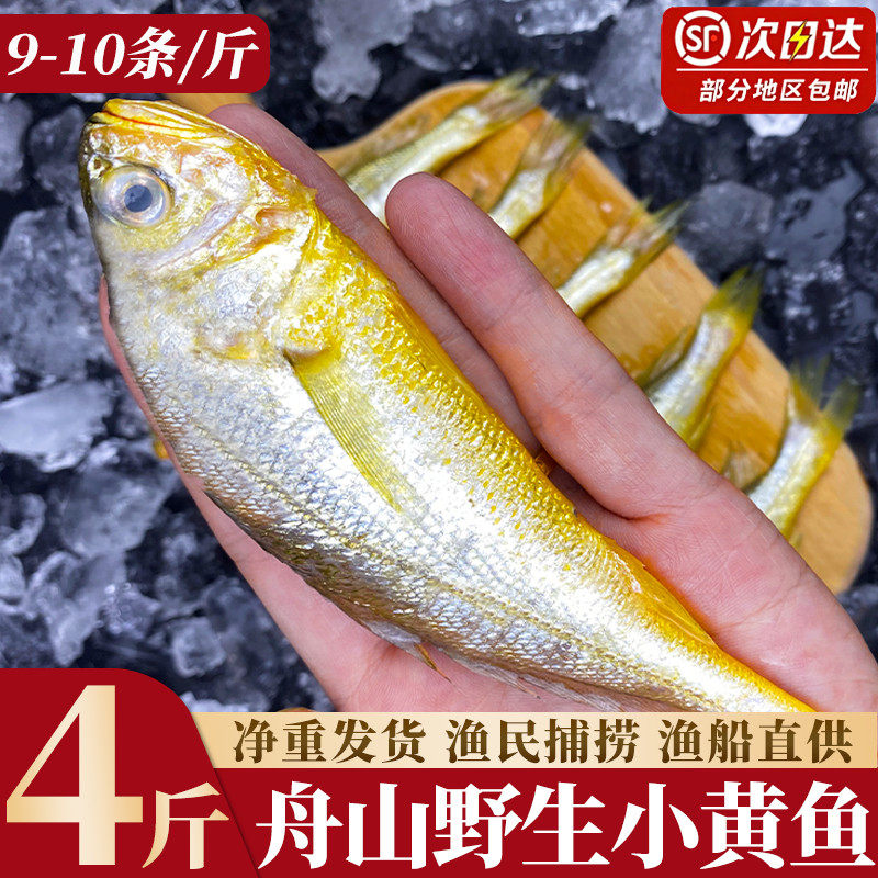 小黄鱼新鲜冷冻整箱商用真正舟山海捕黄鱼鲜活小黄花鱼4斤装烧烤,水产肉类/新鲜蔬果/熟食,黄鱼,淘宝优惠券,粉丝福利购,淘宝优惠卷