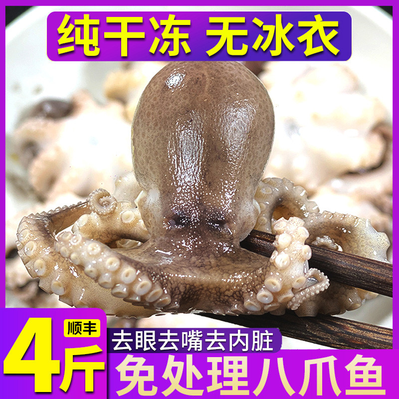 新鲜八爪鱼鲜活冷冻去内脏无冰衣