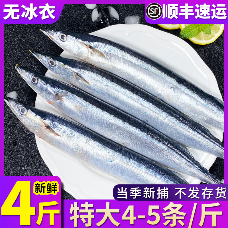 特大秋刀鱼新鲜4斤约16条