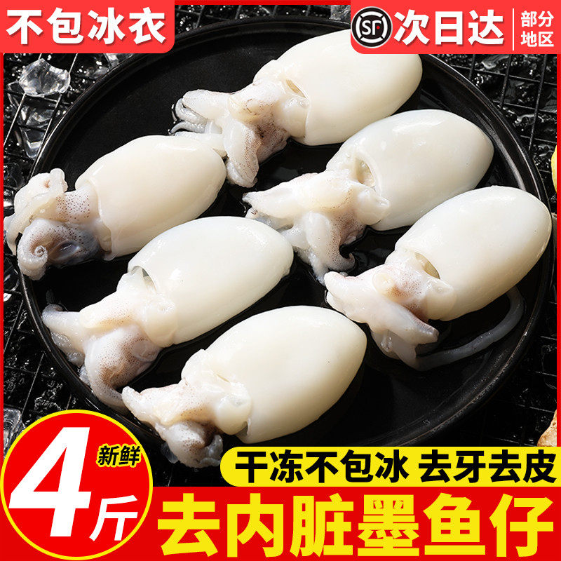 舟山墨鱼仔冷冻新鲜小墨鱼仔生鲜鲜活小墨鱼去皮去内脏商用批发