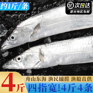特大整条带鱼新鲜冷冻舟山东海雷达网海捕小眼睛大带鱼鲜活级整箱