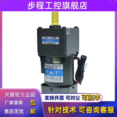 TWT东炜庭电机5IK60GU-YF减速机5GU12.5 15 18 20 30 36 40 50KB
