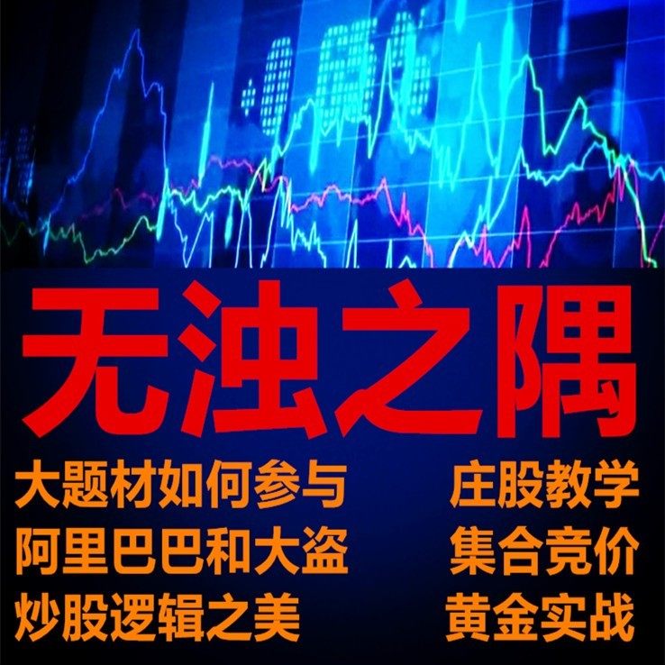 藏宝图无浊之隅实战课程炒股根逻辑之美散户看盘筹码日内集合竞价