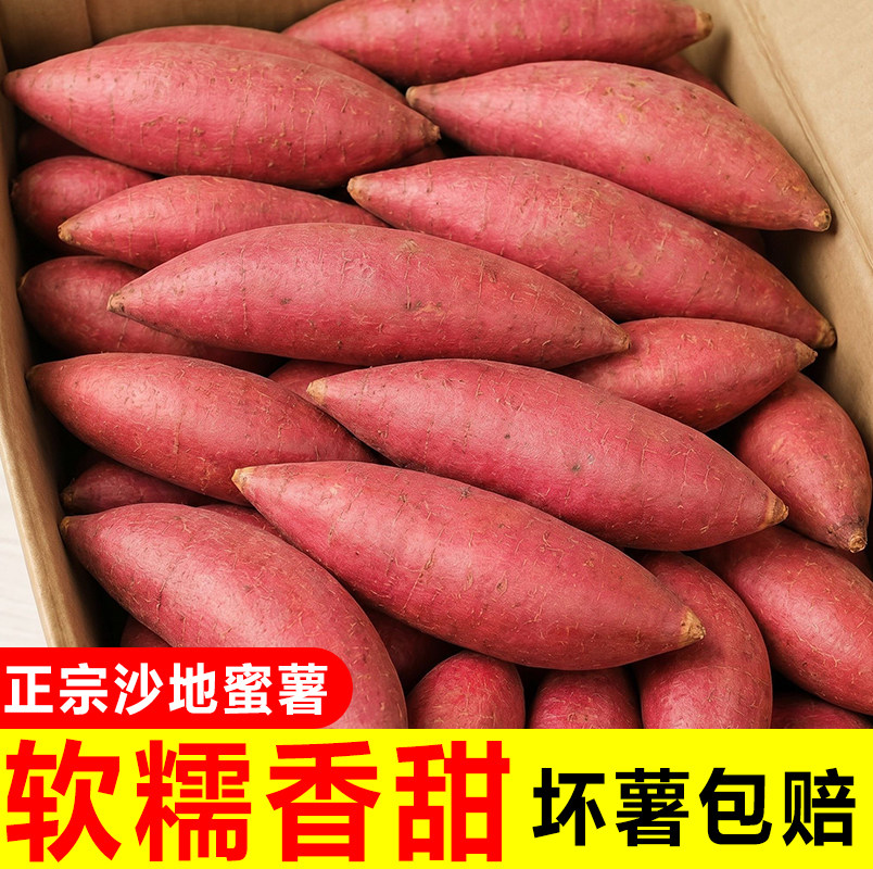 新鲜蜜薯9斤板栗红薯沙地糖心地瓜农家自种番薯现挖板栗薯山芋10