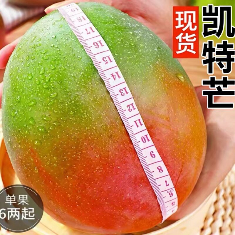 新鲜凯特芒果9斤特大果单果500g+