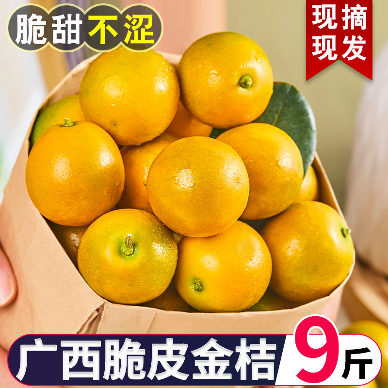 正宗脆皮金桔广西蜜金柑新鲜小橘子纯甜当季水果农家整箱5斤包邮
