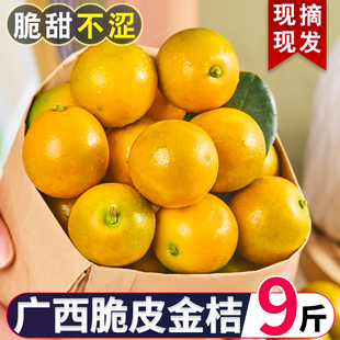 正宗脆皮金桔广西蜜金柑新鲜小橘子纯甜当季水果农家整箱5斤包邮