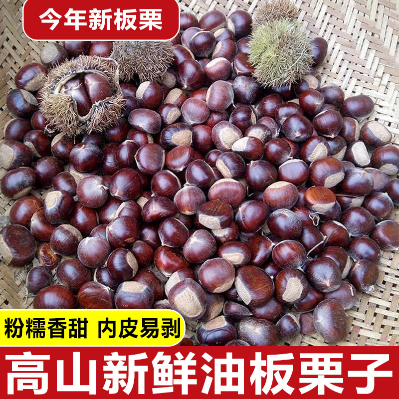 【坏果包赔】云南老树板栗香甜软糯当季现摘板栗易剥熟吃粉糯毛栗