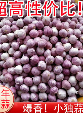【推荐】云南紫皮大蒜新鲜独头蒜鲜蒜2026新蒜大蒜头独蒜红皮批发