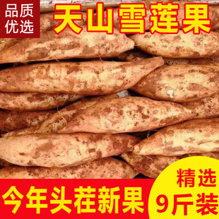 云南天山雪莲果新鲜水果当季应季红心特级10斤装农家大果红泥包邮