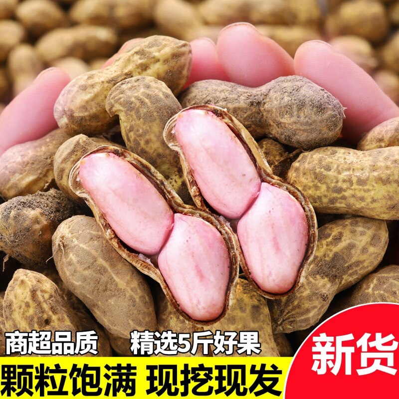 2026年新鲜湿花生带壳饱满少泥粉皮花生现挖可水煮当季食品自然