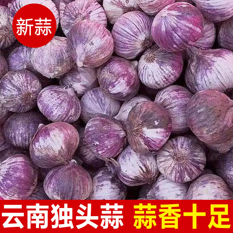 2025独头蒜干大蒜头新鲜干蒜紫皮圆头独蒜红辣蒜5斤蔬菜当季