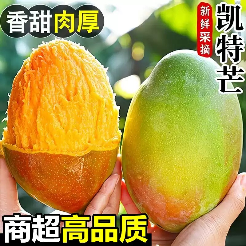四川攀枝花凯特芒果新鲜应季水果澳芒青整箱包邮特大青果当季