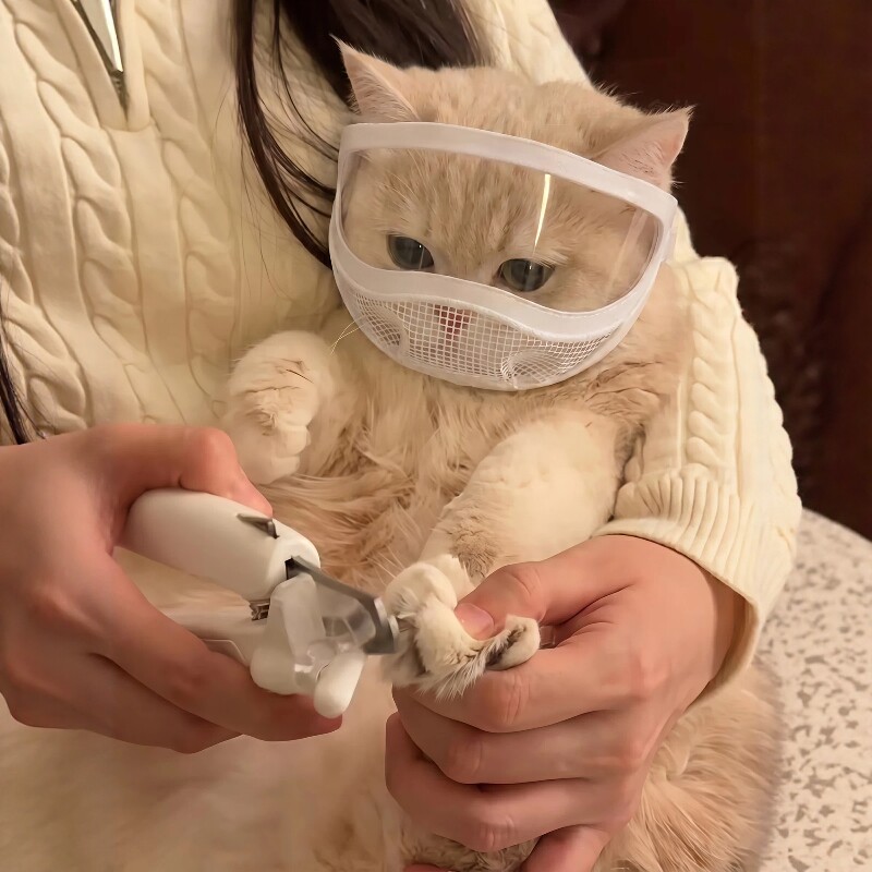 猫咪头套绝育防咬防舔神器剪指甲洗澡宠物嘴套猫用清洁面罩透气
