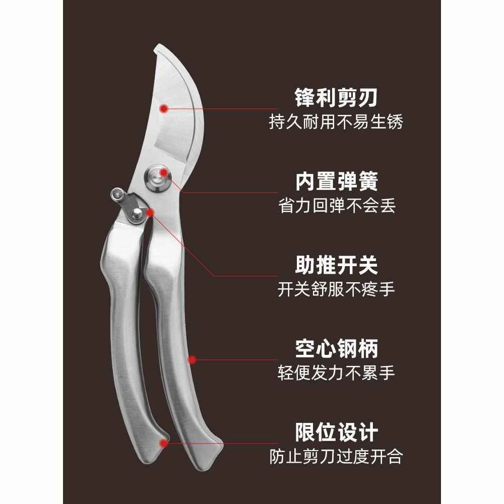 园艺剪枝剪刀修枝剪不锈钢果树园林树枝盆景修剪造型专用剪子工具,居家日用,园艺刀剪,淘宝优惠券,粉丝福利购,淘宝优惠卷