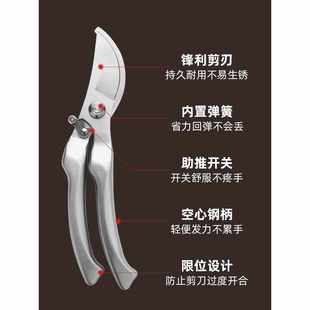 园艺剪枝剪刀修枝剪不锈钢果树园林树枝盆景修剪造型专用剪子工具