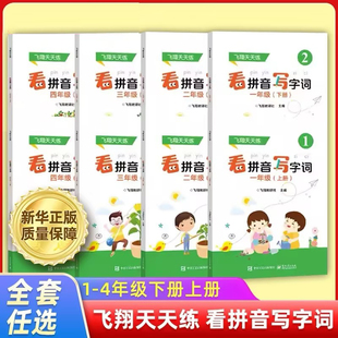 认字写字训练辨字能力提升专项训练书语文课外字词巩固天天练 小学语文练习册人教版 飞翔看拼音写字词 一二三四五年级下册上册