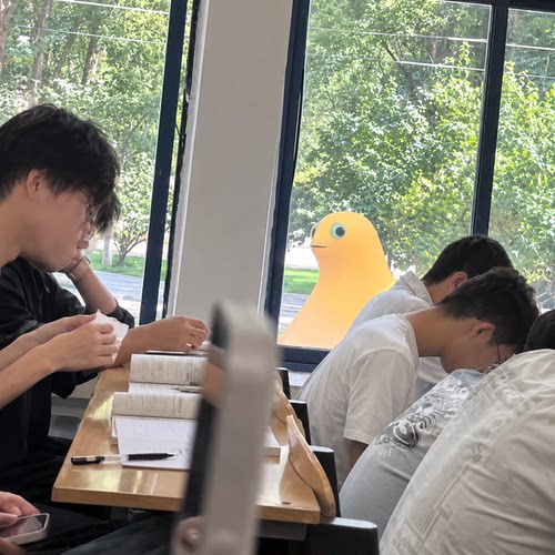 【奶蛙人形立牌】抽象可爱治愈可站立超大号整蛊窗台摆件装饰品