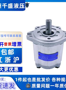 长源款齿轮油泵CBW-F320/F316/F314-ALP/AFP/CLP/CFP 304 306 310