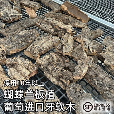 真树皮软木造景贴墙装饰板植绿植