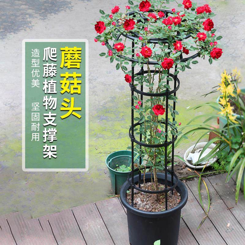伞形花架蔷薇月季爬藤架户外铁艺花支架子铁线莲攀爬架花柱支撑杆,鲜花速递/花卉仿真/绿植园艺,花架,淘宝优惠券,粉丝福利购,淘宝优惠卷
