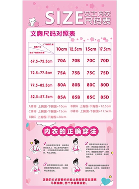 服装店内衣店文胸选购尺码图对照表挂画贴纸文胸小贴士