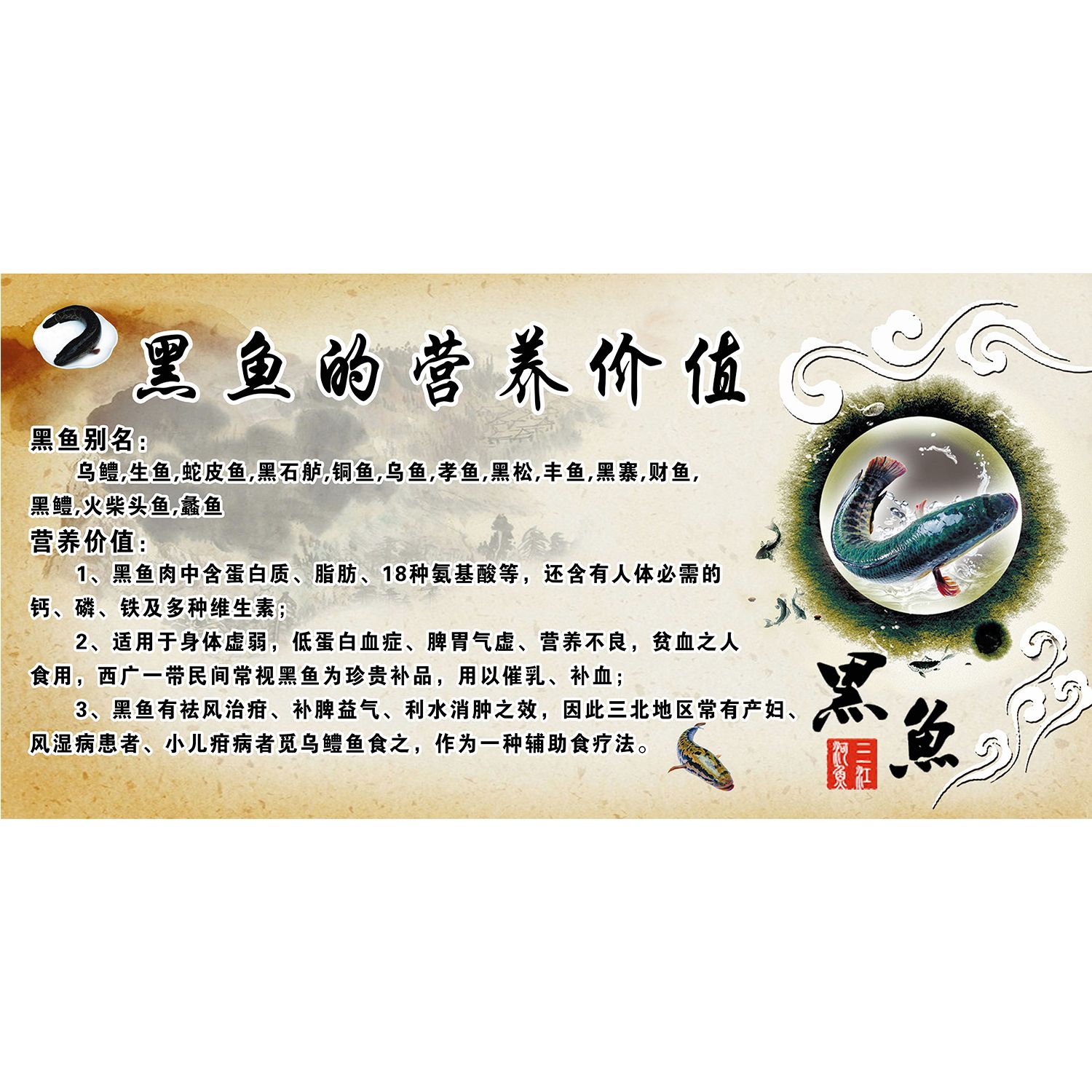 黑鱼的营养介绍简介水产店饭店餐馆农家乐烤鱼炖鱼水煮鱼装饰画图片