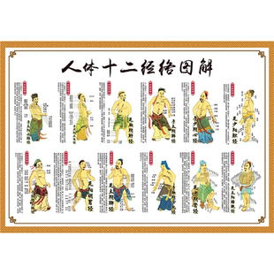 人体十二经络穴位图解任督二脉挂图人体经脉保健穴位挂图海报写真