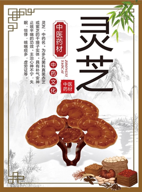 灵芝野生中华名贵中海报展板灵芝的功效作用野生赤灵芝的功效墙贴