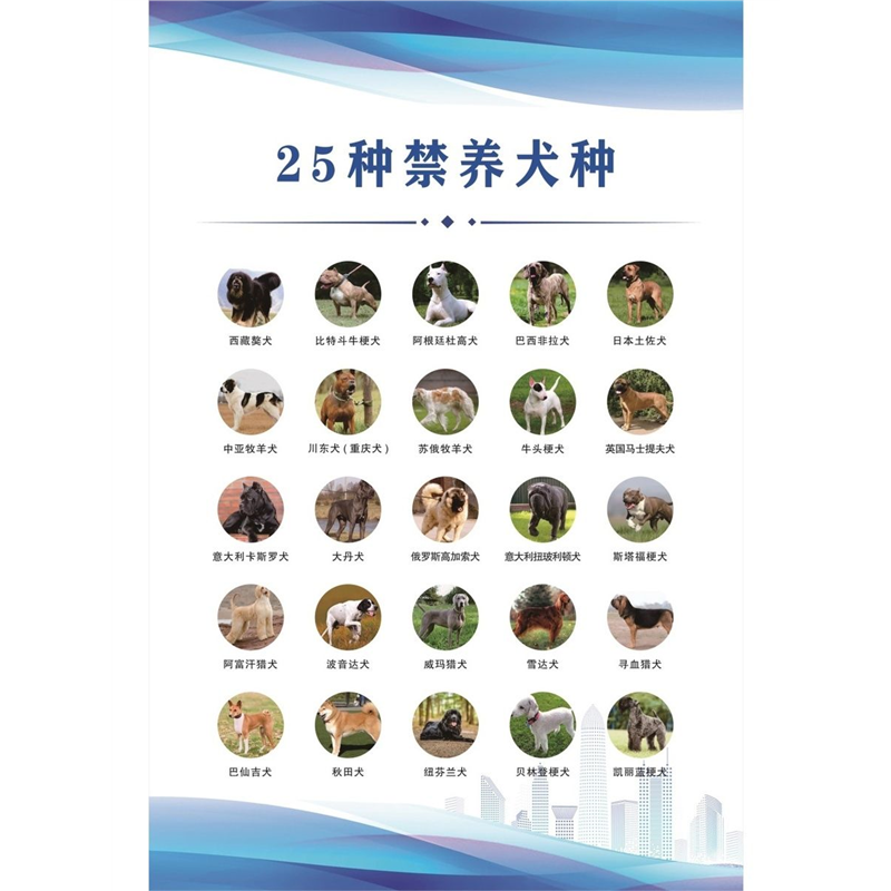 25种禁养犬种海报展板禁养犬名录图例墙贴墙纸装饰画KT板,个性定制/设计服务/DIY,写真/海报印制,淘宝优惠券,粉丝福利购,淘宝优惠卷