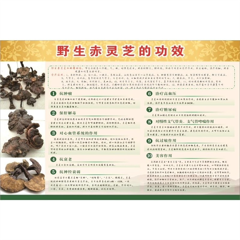 野生赤灵芝的功效海报展板灵芝孢子粉野生灵芝墙贴墙纸装饰画KT板,个性定制/设计服务/DIY,写真/海报印制,淘宝优惠券,粉丝福利购,淘宝优惠卷