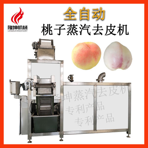 全新升级 多功能蒸汽去皮机 全自动桃子蒸汽爆皮机 不锈钢材质
