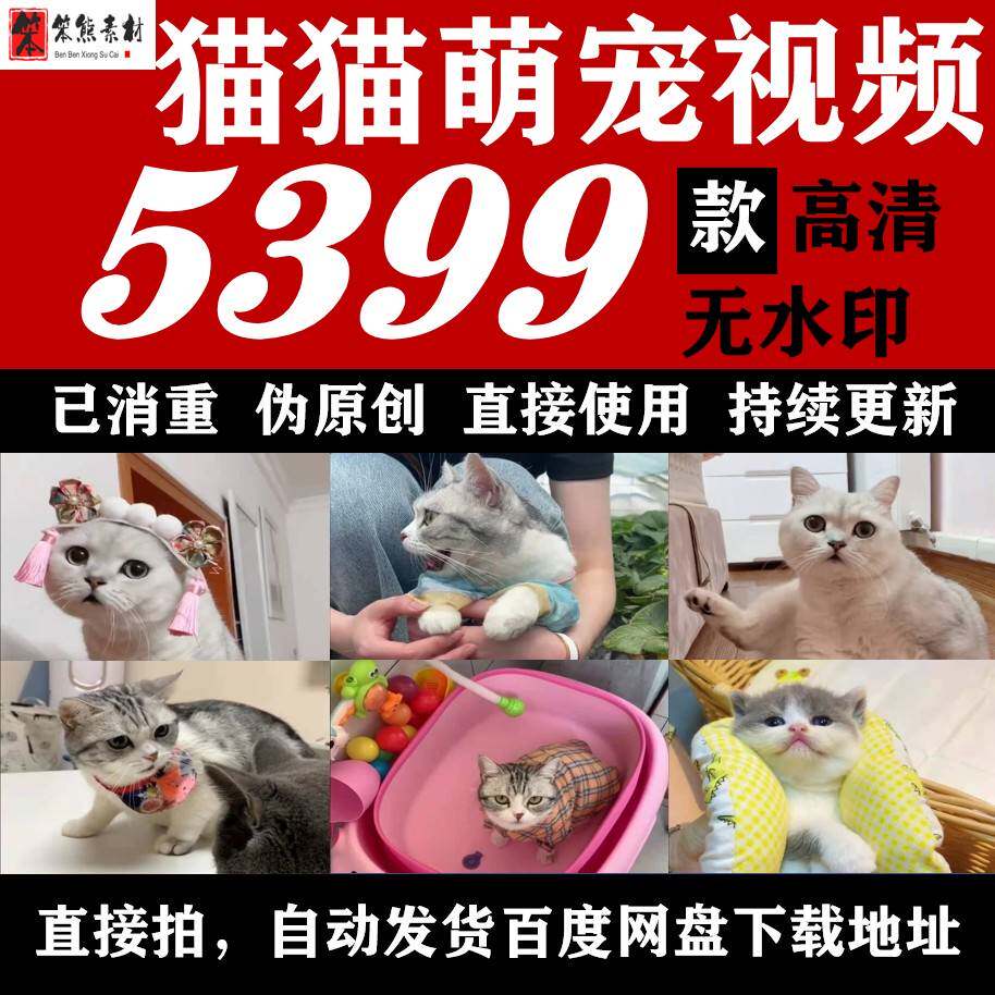 萌宠猫猫搞笑可爱唯美生活呆萌经典短影片高清无水印素材合辑