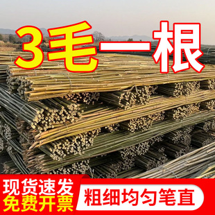 竹竿支架批发菜园黄瓜豆角番茄搭架爬藤支撑架家用晾衣杆校园旗杆
